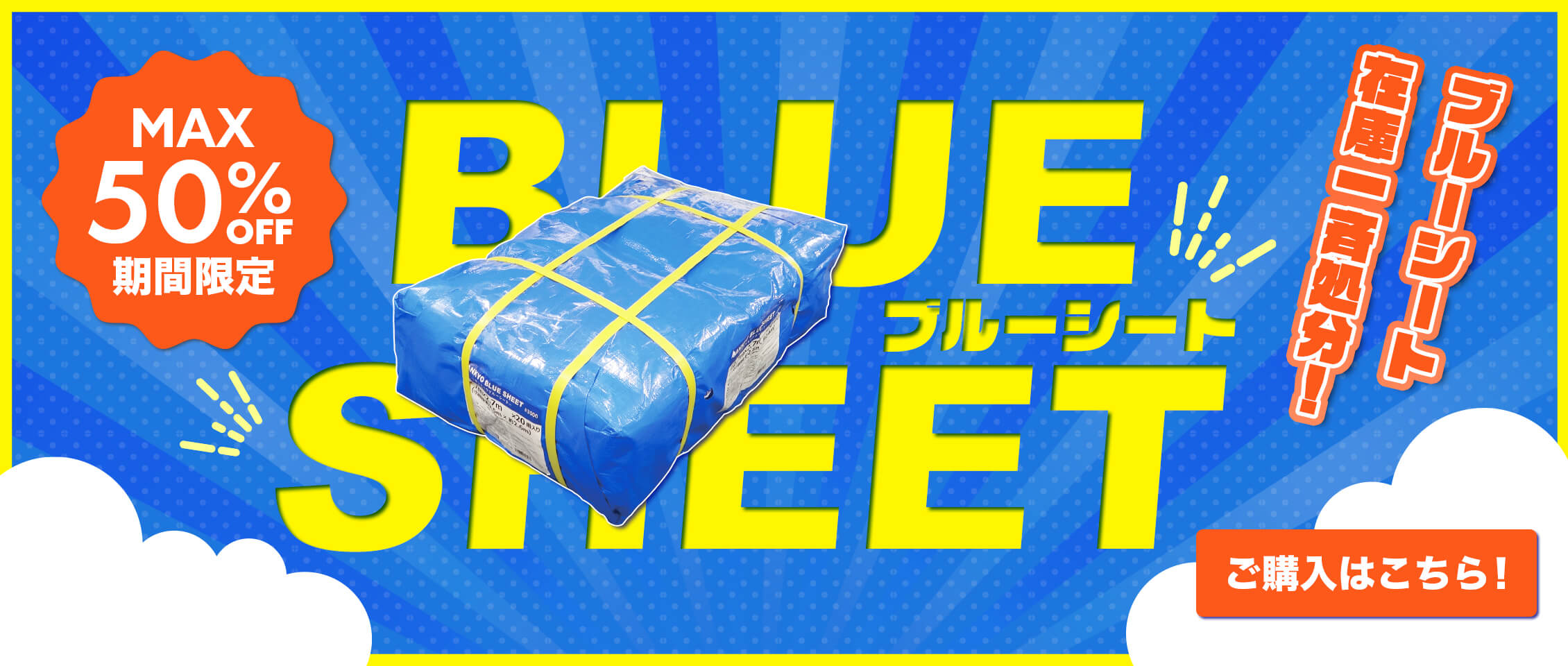 ブルーシート一斉処分